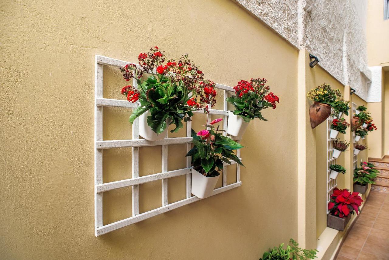 Las Sales Duplex Moya  エクステリア 写真